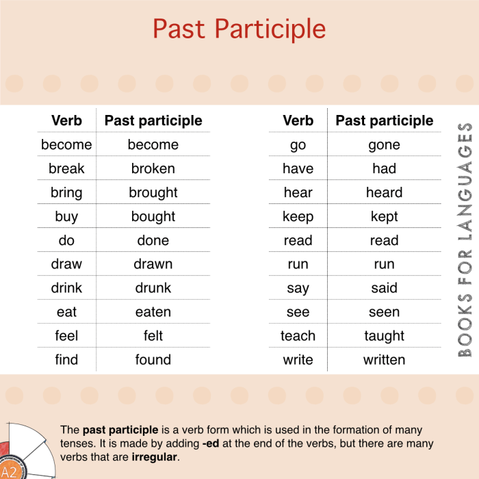 Past Perfect Tense