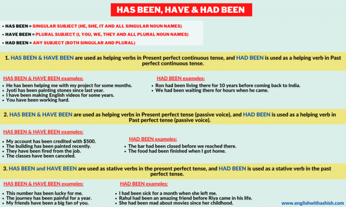 Past Perfect Continuous Tense