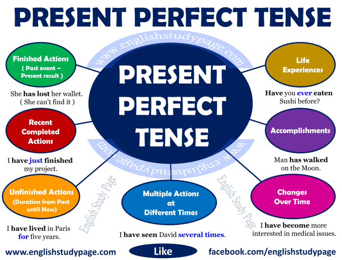 Past Future Perfect Tense