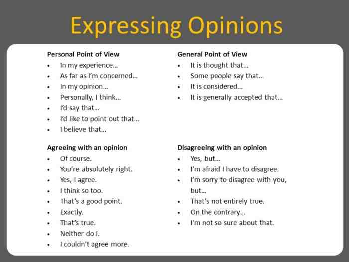 Opinion expressing opinions disagreeing expressions express agreeing english argument language phrases giving eslbuzz effectively do agree esl disagree words disagreement